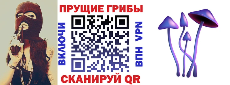 Галлюциногенные грибы Cubensis Арск